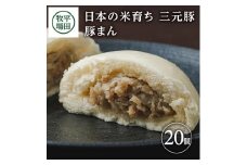 三元豚 豚まん 20個 計2kg ブランド豚 銘柄豚 豚肉  三元豚 肉まん にくまん お米 米 豚 まんじゅう 中華まん おやつ 冷凍 簡単調理 ギフト 贈り物 贈答 ブランド おすすめ 庄内 平田牧場 山形 酒田 SC0501