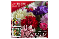 【3回定期便】酒田の花束 「季節の花束 SAKATA3」 SL0216
