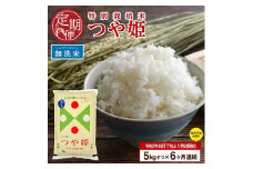 【6回定期便】令和7年産 無洗米 特別栽培米 つや姫　5kg×6回(計30kg)10月下旬発送開始「農家直送」 KA SM0027