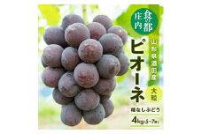 種なし大粒ぶどう　「ピオーネ」　約4kg(5～7房) SD0183