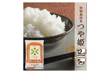 【12回定期便】特別栽培米 つや姫　5kg×12回(計60kg) JM SO0005