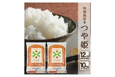 【12回定期便】特別栽培米 つや姫　10kg×12回(計120kg) JM SY0017