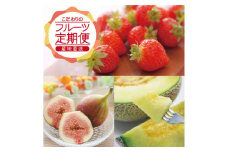 【3回定期便】農家直送 こだわりのフルーツ定期便2025 (いちご、庄内メロン、いちじく) SE0317