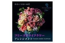 フリーズドライフラワー アレンジ 「ゼロ・モダンフラワー」 SL0217