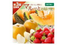 【3回定期便】おいしい酒田 マルっとお届け便2025(1) 3月下旬～ (いちご、紅花メロン、刈屋梨) SE0329