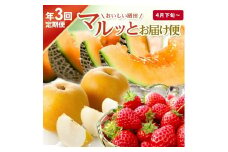 【3回定期便】おいしい酒田 マルっとお届け便2025(2) 4月下旬～ (いちご、紅花メロン、刈屋梨) SE0330