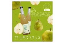 酒田の酒屋厳選　子宝リキュール 山形ラフランス　720ml×2本 SA1947