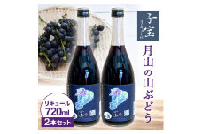 酒田の酒屋厳選　子宝リキュール　月山の山ぶどう　720ml×2本 SB0441