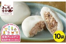 肉まん 60個 6個 10袋 肉 豚肉 豚 たけのこ しいたけ 特定原材料8品目不使用 卵 乳 小麦 そば 落花生 えび かに くるみ 不使用 アレルギー 対応 冷凍 米 お米 米粉 個包装 おやつ 惣菜 東北日本ハム（日本ハムマーケティング） 山形 酒田 SE0238