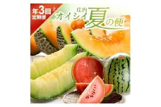 【3回定期便】庄内オイシイ夏の便2025 (紅花メロン、小玉すいか、アールスメロン) SE0334