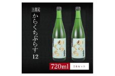 6銘柄から選べる純米酒2本セット　※1本目：上喜元からくちぷらす　2本目：上喜元からくちぷらす SA1971