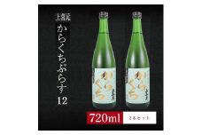 6銘柄から選べる純米酒2本セット　※1本目：上喜元からくちぷらす　2本目：上喜元からくちぷらす SA2761