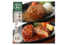 金華豚ハンバーグ 2種 10個（各5個） 1.7kg 和風おろし デミグラス ハンバーグ ハンバーグギフト 金華豚 ブランド豚 豚肉 簡単 簡単調理 冷蔵 贈り物 贈答 ギフト 平牧 平田牧場 山形 酒田 SC0509