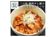 【平田牧場】日本の米育ち 三元豚 焼肉タレ漬け＆生姜焼き2種セット　計12パック(各140g×6パック) SC0511