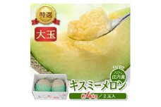 特選 庄内産 キスミーメロン　約4kg(青肉 大玉/2玉入つる付) SA2549