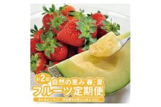 【2回定期便】自然の恵み　春・夏フルーツ定期便2025 (いちご、青肉メロン) SC0567