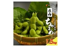 庄内ちゃまめ　計1.5kg(250g×6袋) SA2614