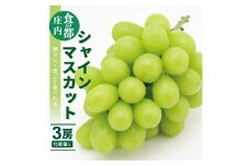 シャインマスカット　1.5kg以上(3房) 化粧箱入 SC0587