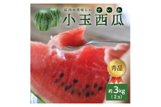 庄内の美味しい 小玉すいか 秀品　約3kg(2玉入) SA2585