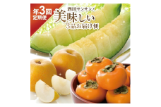 【3回定期便】酒田サンサン 美味しい3品お届け便2025 (アンデスメロン、刈屋梨、庄内柿) SF0247