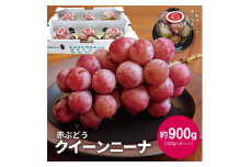 赤ぶどう クイーンニーナ　約900g(150g×6パック) SA2545