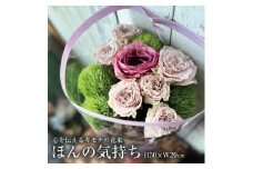 心を伝えるキモチの花束「ほんの気持ち SASAYAKADESUGA」 SL0183