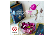 水のいらない花　ゼロフラワー「バラ一輪挿し＆花びらセット」 SL0210
