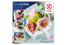 【12回定期便】水のいらない花　ゼロフラワー定期便「Bouquet12」 SL0230