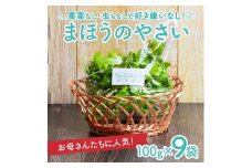 「まほうのやさい すこやかセット」　ベビーリーフ　計900g(100g×9袋) SA2136