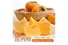 酒田産 庄内柿　約6kg(28～36玉入)2L～3Lサイズ SB0694