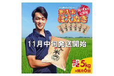 11月中旬発送開始／【隔月6回定期便】無洗米はえぬき　5kg×6回(計30kg)　農家直送『いいあん米』AG SM0025