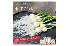 【福地ホワイトにんにく使用】 にんにくスプラウト「玉すだれ」すこやかセット　10袋 SA2511