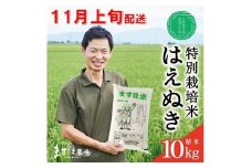 11月上旬配送／令和7年産【精米】　特別栽培米『はえぬき』 10kg(5kg×2袋)［減農薬・減化学肥料］ MA SD0200