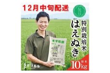 12月中旬配送／令和7年産【精米】　特別栽培米『はえぬき』 10kg(5kg×2袋)［減農薬・減化学肥料］ MA SD0204