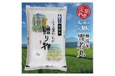 無洗米 雪若丸 定期便 5kg×6回 計30kg 令和7年産 米 お米 こめ 新米 大粒 コシヒカリ こしひかり に負けない 美食 歴史 伝統 日本食 和食 東北 小松農産 山形 酒田 SJ0043
