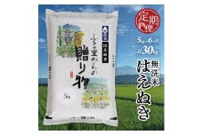 【6回定期便】令和7年産 無洗米 はえぬき　5kg×6回(計30kg) KN SJ0042