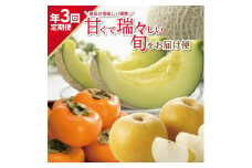 【3回定期便】酒田の美味しい果物！甘くて瑞々しい旬をお届け便2025 (アールスメロン、刈屋梨、庄内柿) SE0331