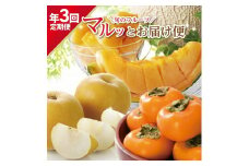 【3回定期便】旬のフルーツ マルッとお届け便2025 (紅花メロン、刈屋梨、庄内柿) SE0335