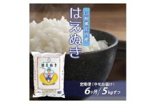 【6回定期便】庄内米 はえぬき　5kg×6回(計30kg) AB SH0029