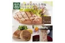 豚肉 バラエティーセット 計1.14kg 金華豚 豚ロース しゃぶしゃぶ 豚バラ 豚切落し 豚挽き肉 ロースカツ ステーキ ひき肉 ロース ブランド豚 冷凍 贈り物 贈答 ギフト 平牧 平田牧場 山形 酒田 SC0550