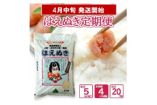 4月中旬発送開始／【4回定期便】令和6年産［精米］はえぬき　5kg×4回(計20kg) JS SE0377