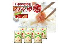 1月中旬発送開始／【6回定期便】 特別栽培米 つや姫 5kg×6ヶ月連続 計30kg 令和7年産 山形県産 精米 白米 庄内米 米 ごはん ご飯 酒田市 庄内 山形県 東北 農協 JAそでうら SM0040