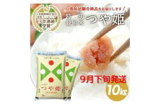 9月下旬配送／令和6年産【精米】山形県産 特別栽培米 つや姫　10kg(5kg×2袋) JS SB0641