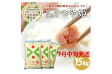 7月中旬配送／令和6年産【精米】山形県産 特別栽培米 つや姫　15kg(5kg×3袋) JS SD0163