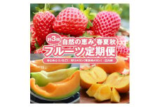 【3回定期便】自然の恵み 春・夏・秋フルーツ定期便2025 (2)(いちご、彩りメロン［青肉・赤肉］、柿) SD0139
