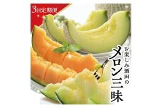 【3回定期便】酒田のメロン三昧お楽しみセット2025 (青肉メロン、赤肉メロン、アールスメロン) SE0351