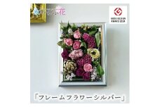 壁に飾るフリーズドライフラワー「フレームフラワー　シルバー」水のいらない花　ゼロフラワー SL0242