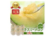 特選 庄内産 キスミーメロン　約8kg(青肉 大玉/5～6玉入つる付)  SC0576