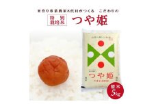 令和7年産【精米】特別栽培米つや姫　5kg×1袋「農家直送」 KA SB0750