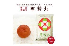 令和7年産【精米】特別栽培米雪若丸　5kg×1袋「農家直送」 KA SA2706